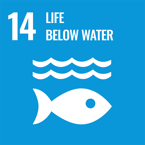 SDG